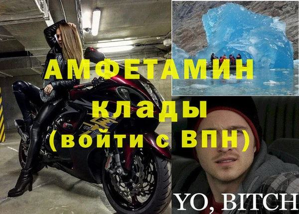 ПСИЛОЦИБИНОВЫЕ ГРИБЫ Туринск
