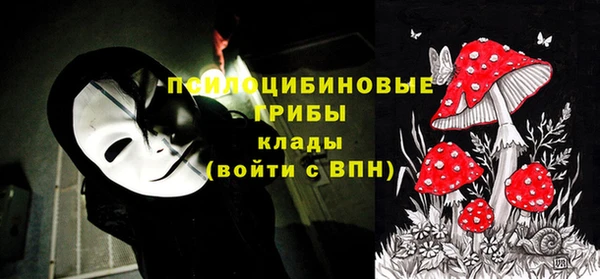 ПСИЛОЦИБИНОВЫЕ ГРИБЫ Туринск