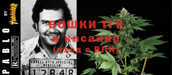 сатива Тында
