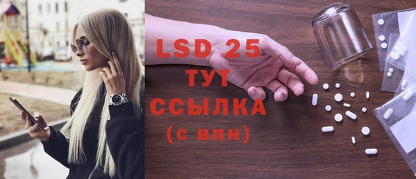 ПСИЛОЦИБИНОВЫЕ ГРИБЫ Туринск