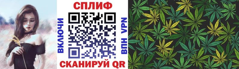 Купить закладки  Белокуриха  Каннабис Amnesia 